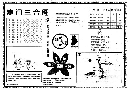 王中王與肖碼中的特殊一，探索與解析，王中王與肖碼中的特殊一，深度探索與解析