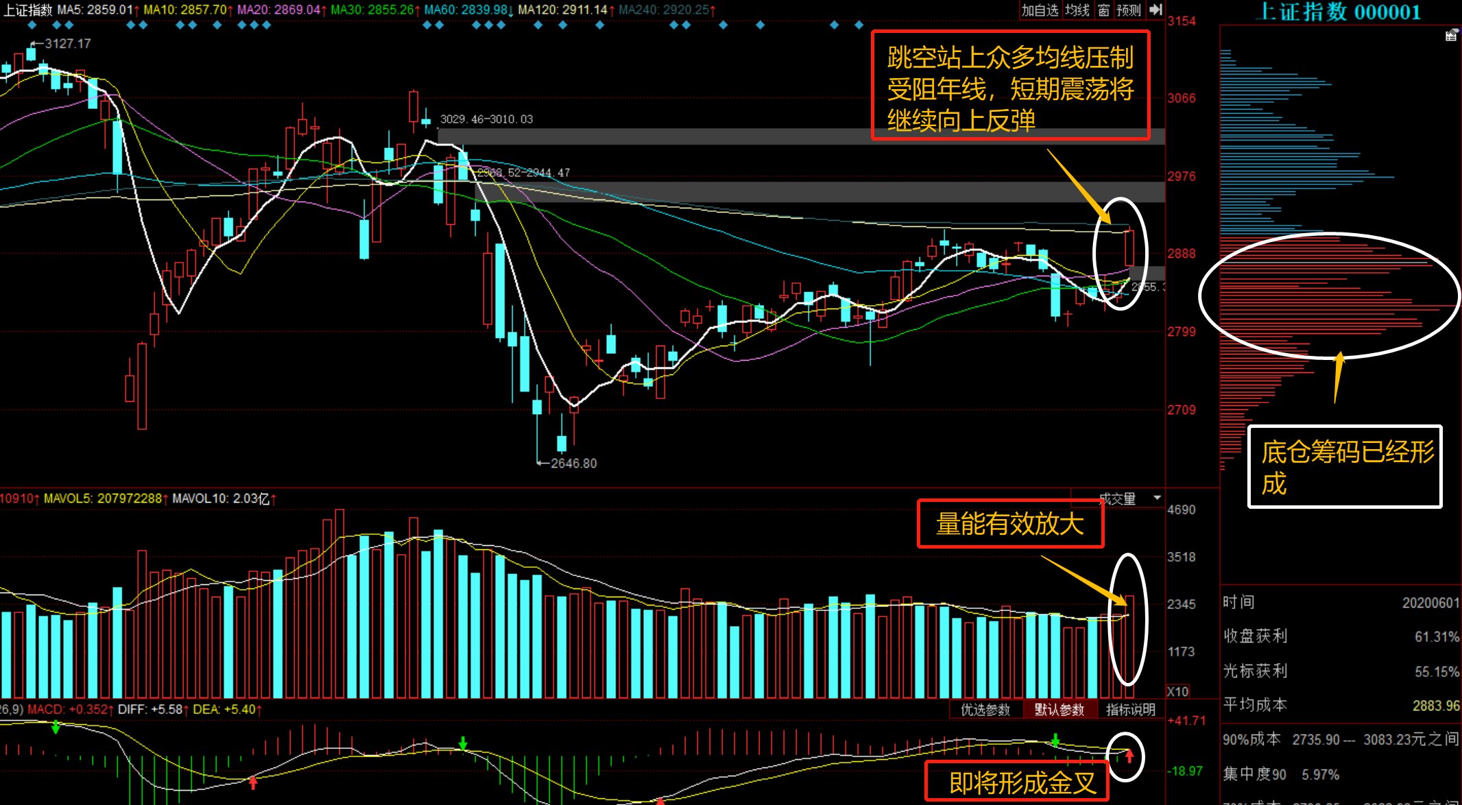 深度解析，601918股票行情，深度解析，股票行情解析與投資建議——以601918為例