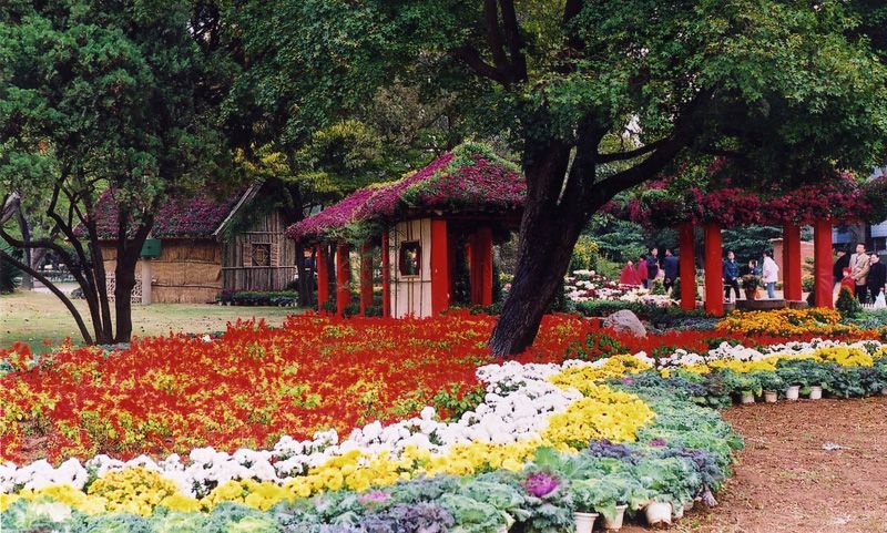 中山公園，歷史與自然的美好交織，中山公園，歷史與自然之美的交融勝地