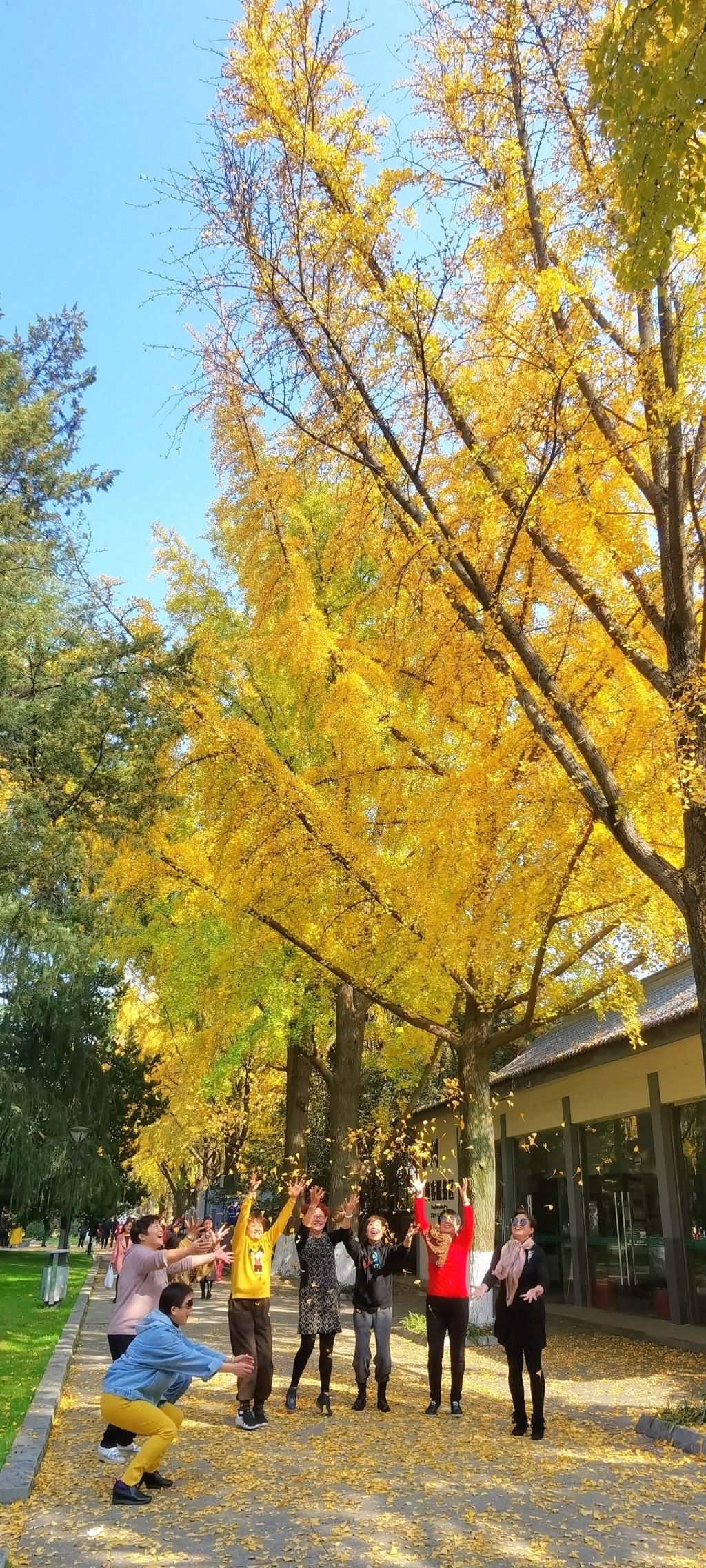 玄武湖公園，古都南京的璀璨綠寶石，古都南京的綠寶石，玄武湖公園