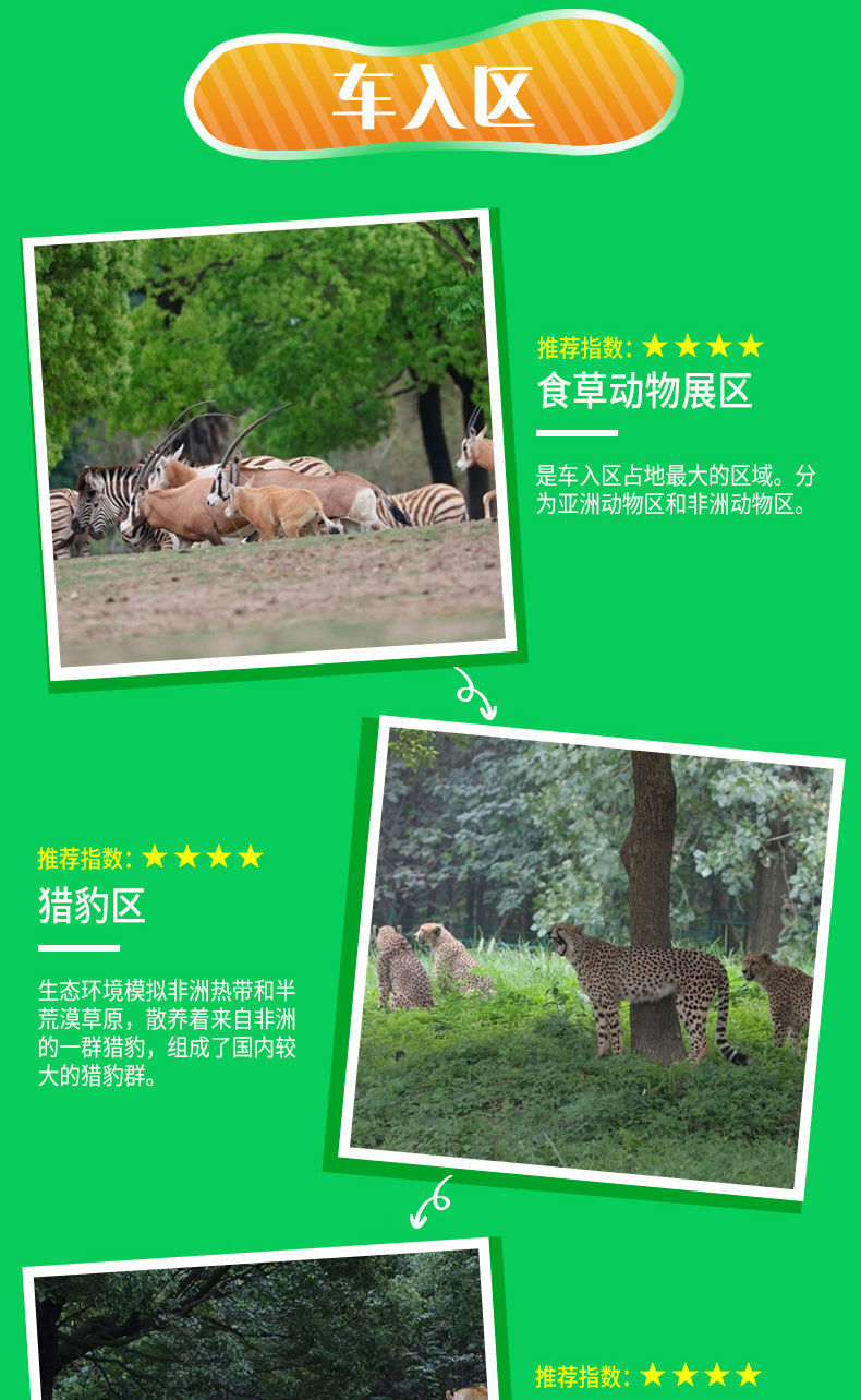 上海野生動物園票價詳解，價格、優(yōu)惠及購票攻略，上海野生動物園票價詳解，價格、優(yōu)惠與購票攻略全攻略