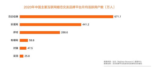 世界交友網(wǎng)站排名及其影響力分析，全球交友網(wǎng)站排名與影響力深度解析