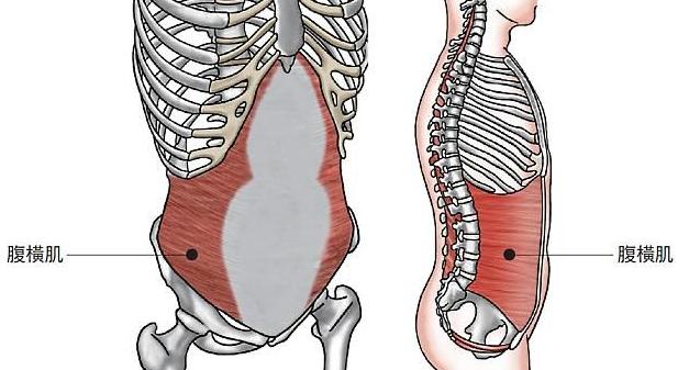 減腰腹贅肉的8個運動，減腰腹贅肉秘訣，8大運動助你告別贅肉困擾