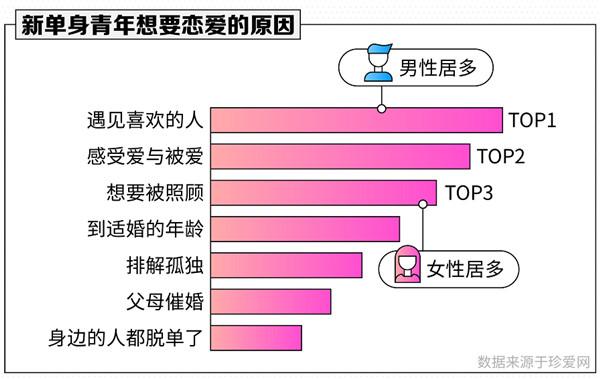 珍愛網(wǎng)最新版本下載安裝，探索與體驗(yàn)，珍愛網(wǎng)最新版本下載，探索與體驗(yàn)之旅