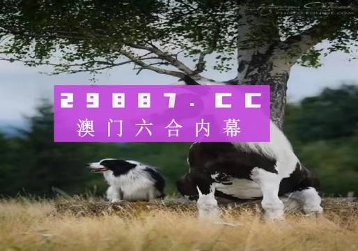 新澳門跑狗圖免費(fèi)正版圖2024年，探索預(yù)測(cè)與娛樂(lè)的交融，澳門跑狗圖預(yù)測(cè)與娛樂(lè)交融，探索免費(fèi)正版圖的未來(lái)（2024年）