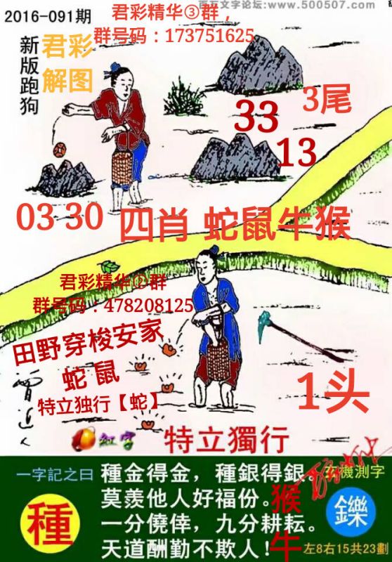 探索精準(zhǔn)跑狗圖，77777與88888的神秘結(jié)合，揭秘精準(zhǔn)跑狗圖，神秘結(jié)合77777與88888的奧秘探索