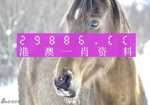 澳碼精準(zhǔn)100%一肖一碼最準(zhǔn)肖，揭秘彩票預(yù)測的神秘面紗，揭秘彩票預(yù)測神秘面紗，澳碼精準(zhǔn)一肖一碼最準(zhǔn)肖預(yù)測揭秘