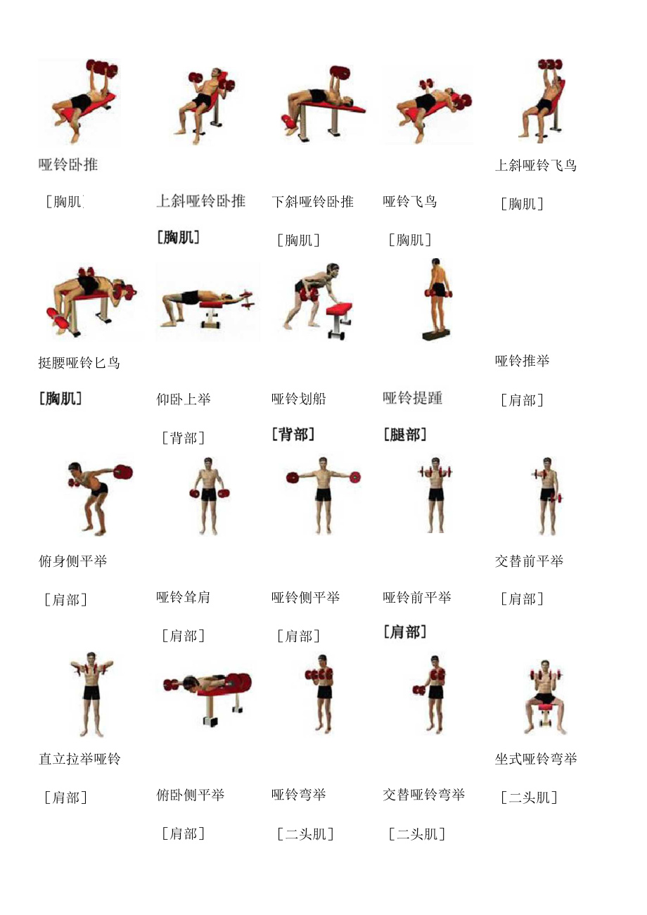 60歲啞鈴訓(xùn)練動(dòng)作大全，塑造健康與活力的晚年生活，60歲啞鈴訓(xùn)練秘籍，塑造活力晚年，健康動(dòng)作大全