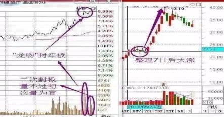 探索股市之路，深度解析千股千評(píng)中的代碼002782，深度解析股市之路，千股千評(píng)中的代碼002782探索之旅