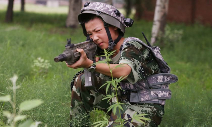 軍事夏令營中的老師，塑造未來的軍事英才，軍事夏令營教官，塑造未來軍事英才的領(lǐng)航者