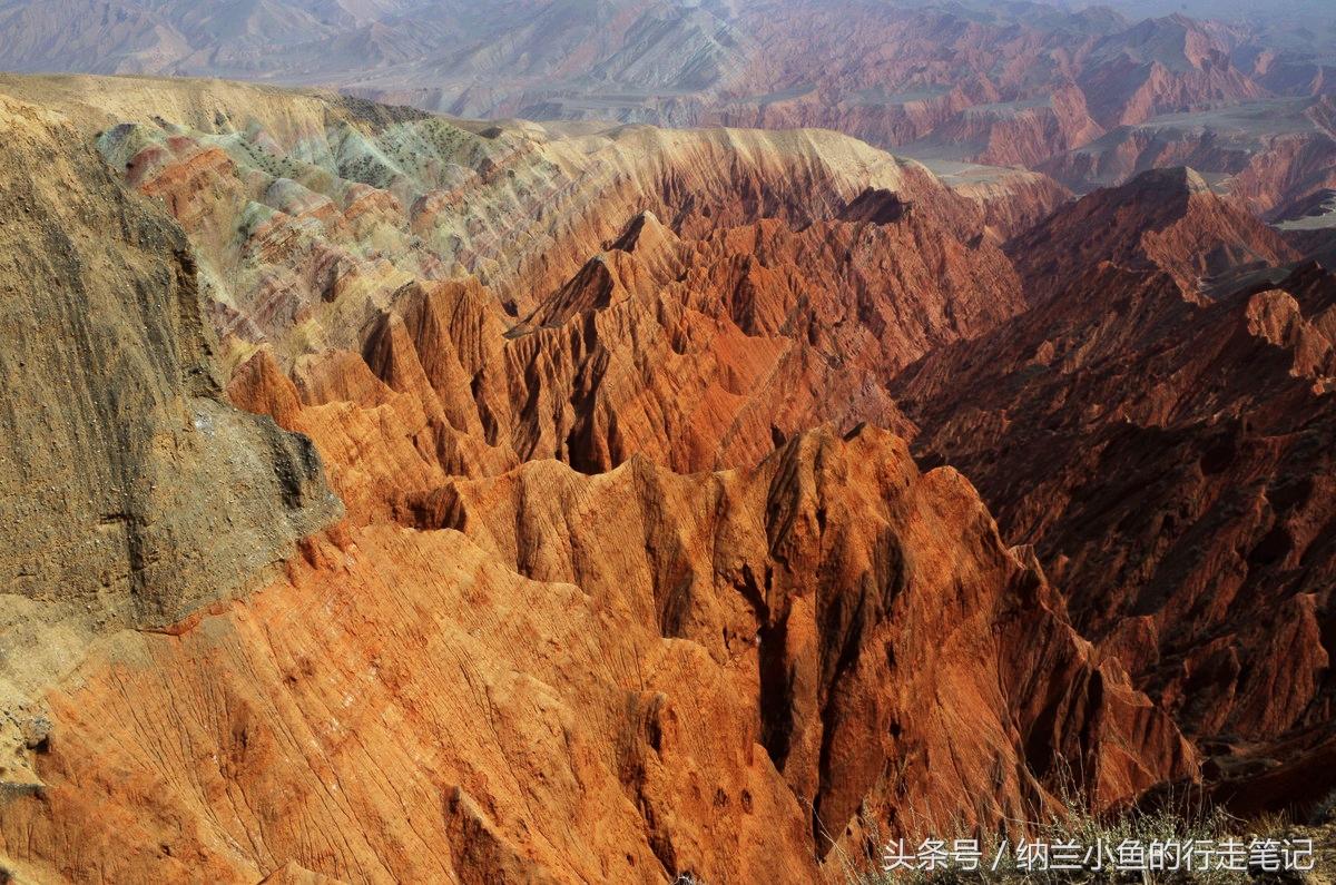 地獄減肥法，15天瘦40斤的挑戰(zhàn)與實(shí)現(xiàn)，地獄減肥法，挑戰(zhàn)與實(shí)現(xiàn)15天瘦40斤目標(biāo)