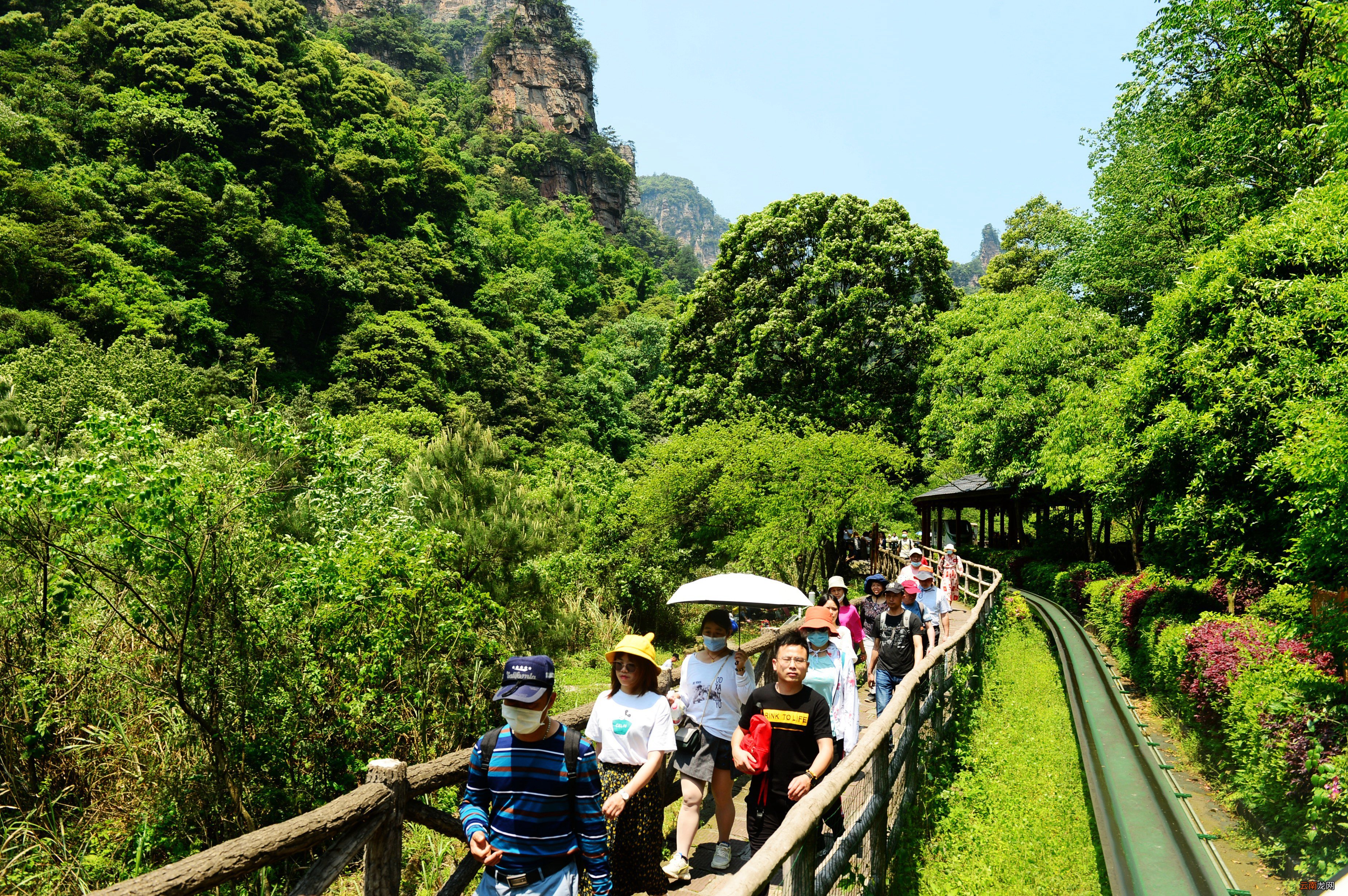 五一一日游，探索最佳旅行目的地，五一探索最佳旅行目的地一日游攻略