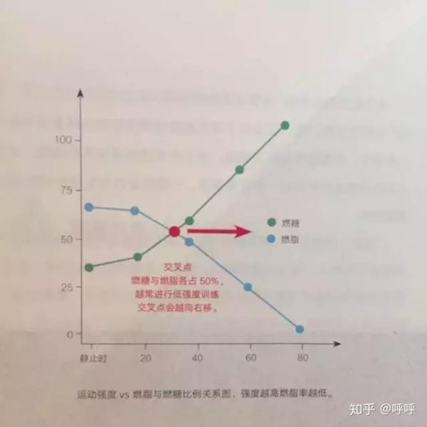 做哪些運(yùn)動(dòng)可以減肥，運(yùn)動(dòng)減肥，最有效的瘦身運(yùn)動(dòng)有哪些？