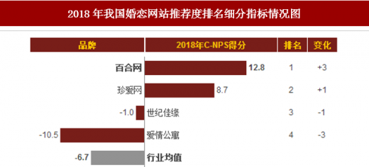 世界婚戀網(wǎng)站排名及其影響力探討，世界婚戀網(wǎng)站排名與影響力深度探討