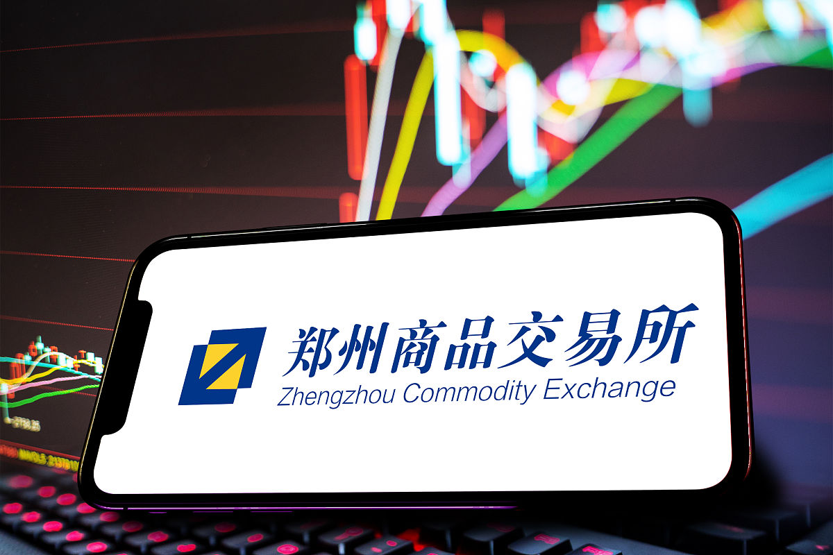 鄭州交易所期貨官網(wǎng)，探索期貨市場的門戶，鄭州交易所期貨官網(wǎng)，期貨市場探索之門