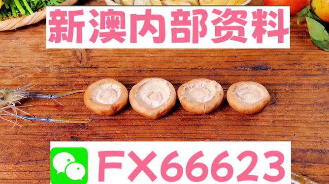 新澳全年免費(fèi)資料大全，探索與收獲，新澳全年免費(fèi)資料大全，探索之旅與收獲的時(shí)刻