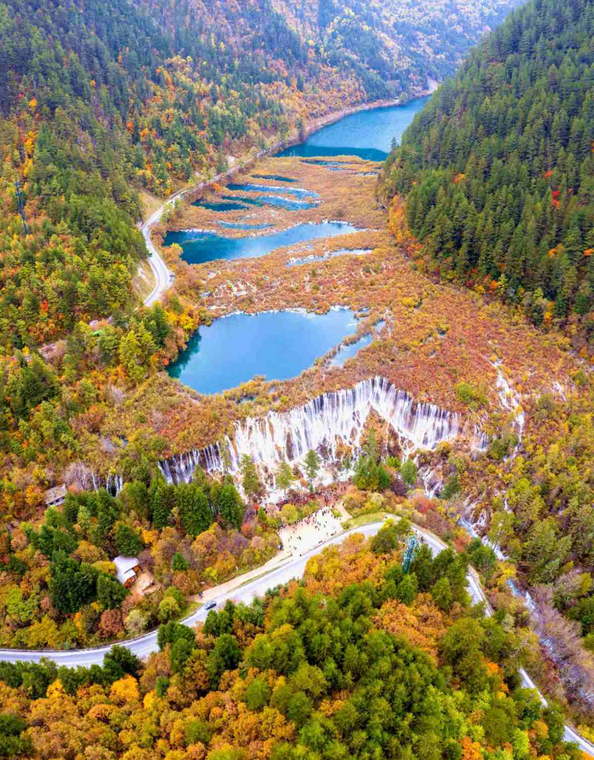 揭秘九寨溝景區(qū)之美，一幅生動的自然畫卷，九寨溝景區(qū)，自然畫卷之美揭秘