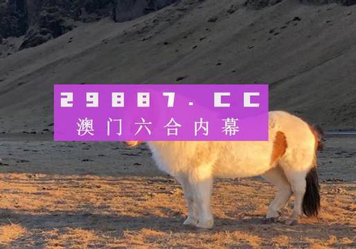 澳門六開彩，探索未來的彩票文化與創(chuàng)新發(fā)展（2025展望），澳門六開彩，未來彩票文化的探索與創(chuàng)新發(fā)展展望（2025）