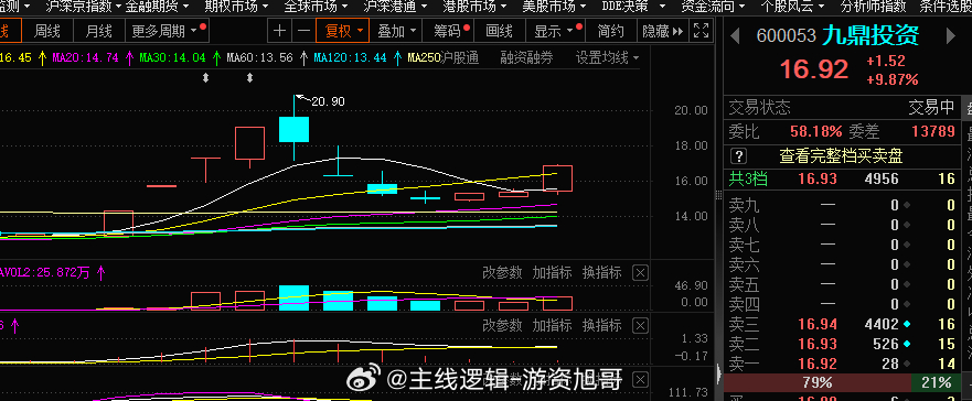 股票600053，深度解析與前景展望，股票600053深度解析及前景展望