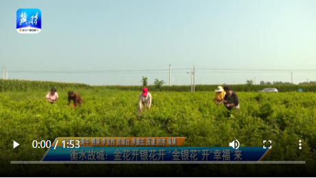 大地資源高清播放在線觀看，探索與賞析，大地資源高清在線播放，探索與賞析之旅