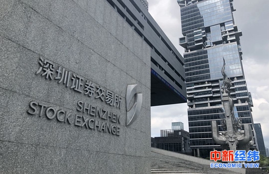 深圳證券公司概述，深圳證券公司概覽