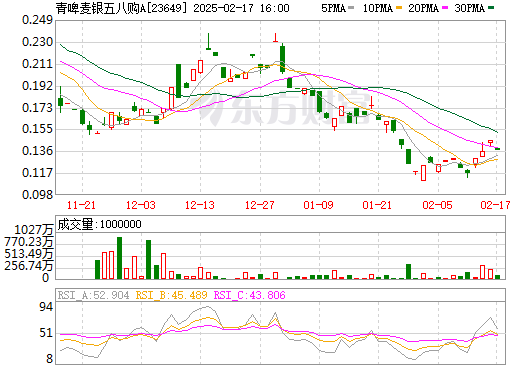 中投股份股票價(jià)格的深度解析，中投股份股票價(jià)格的全面解析與深度探討