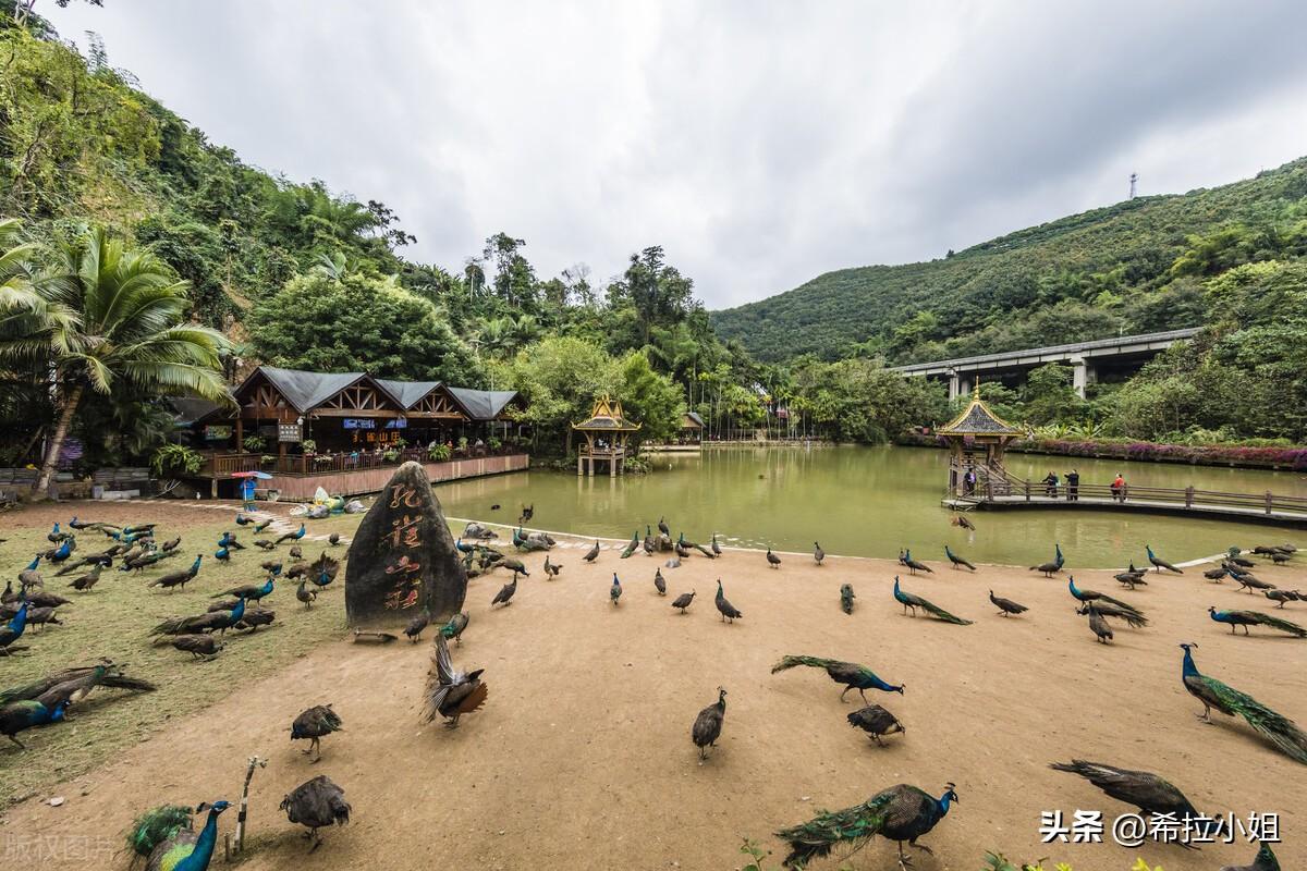 西雙版納旅游必去景點介紹，西雙版納必游景點攻略大全