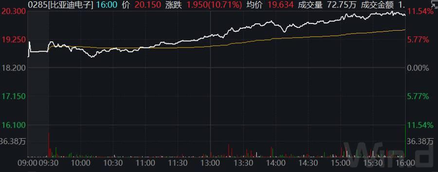 比亞迪股票行情今日股價(jià)分析與展望，比亞迪股票行情今日分析，股價(jià)走勢(shì)展望與深度解讀