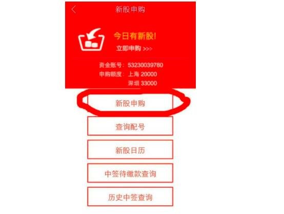 申購(gòu)新股的操作步驟與策略，申購(gòu)新股的操作步驟及策略詳解