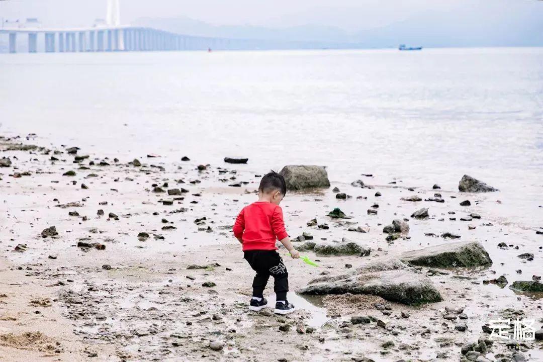 深圳海邊旅游勝地探索，探尋最佳游玩地點，深圳海邊旅游勝地探尋指南，最佳游玩地點大揭秘