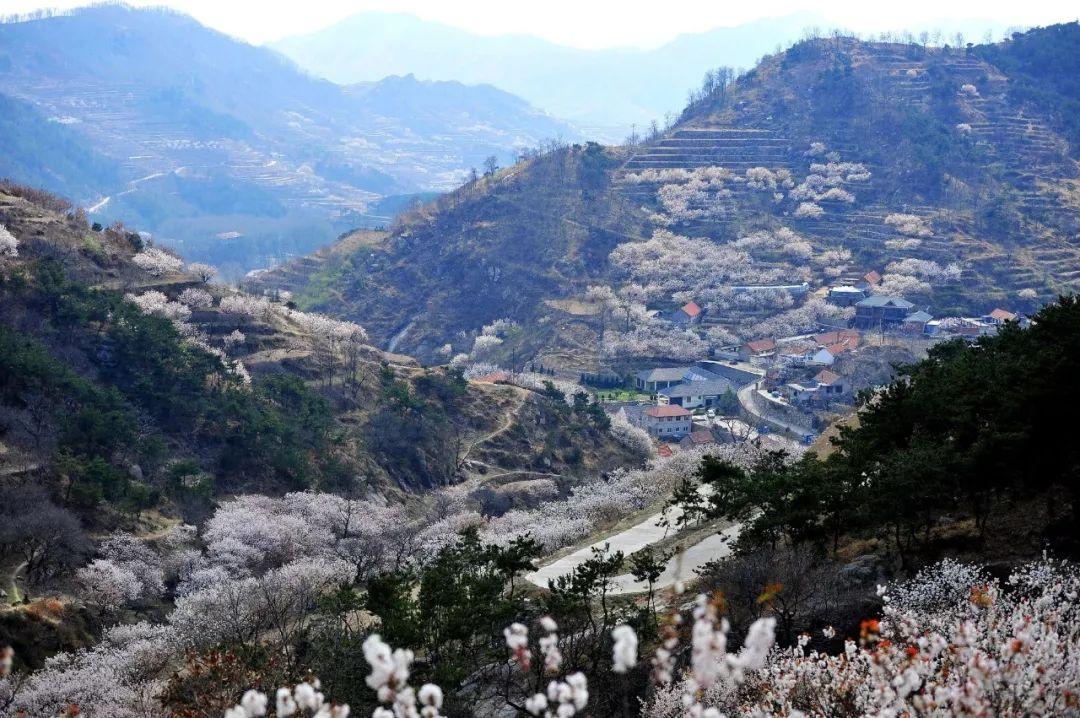 魅力探尋