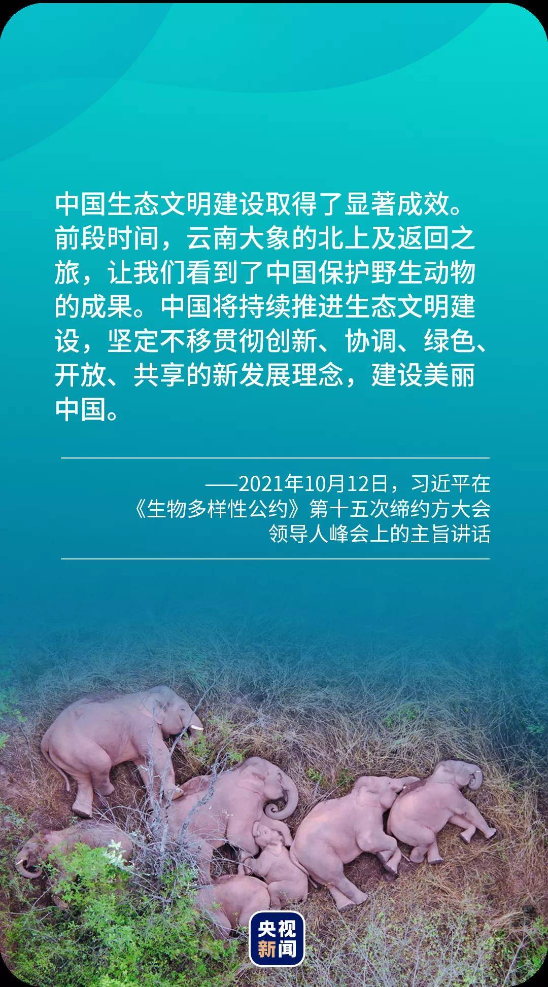 探索波嗎孟須中鮮體2讀，一場(chǎng)文字之旅，波嗎孟須中鮮體2解讀，一場(chǎng)深入的文字之旅