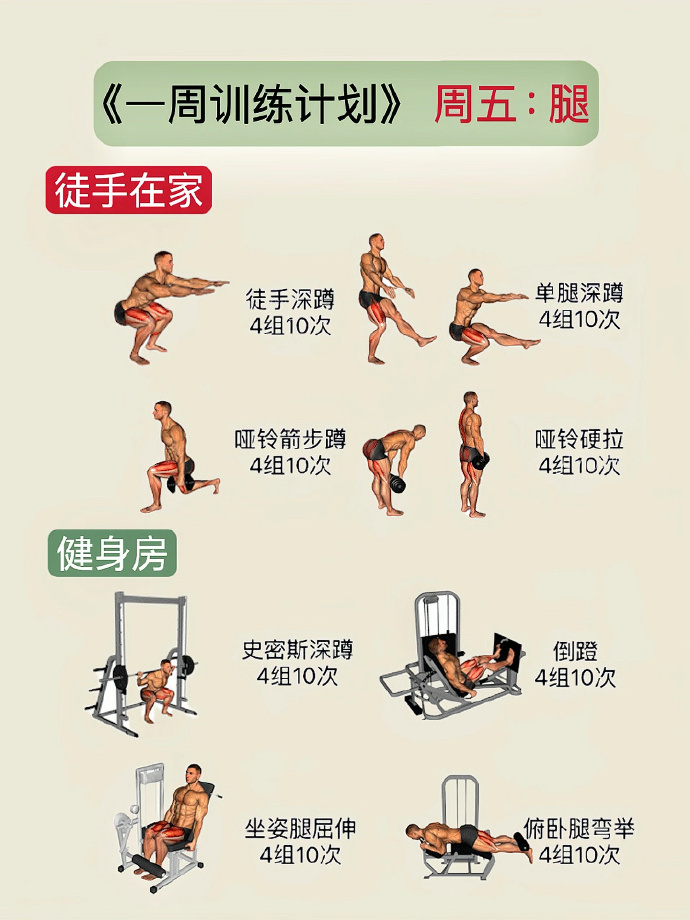 健身房初學者健身計劃，初學者健身房健身入門計劃