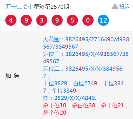 深度解讀與解析
