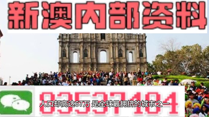 澳門今晚開精準(zhǔn)四不像游戲，探索與期待，澳門精準(zhǔn)四不像游戲，探索之旅與期待之夜