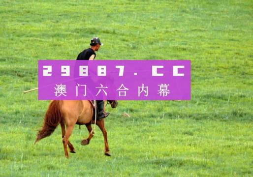 澳門精準的一肖一碼資料，探索與解析，澳門精準一肖一碼資料解析探索