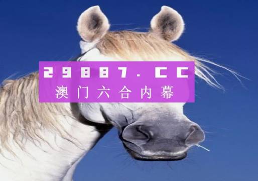 一肖一碼中的奧秘與探索，一肖一碼，奧秘探索之旅