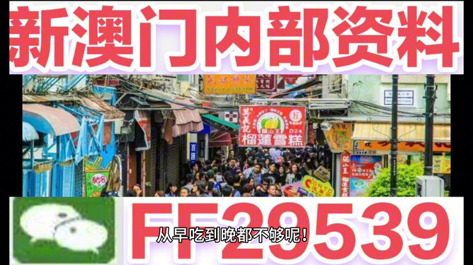 澳門今晚開，未來城市的發(fā)展與展望，澳門未來城市發(fā)展與展望，今晚開啟新篇章
