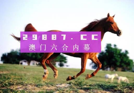 一肖一碼中的奧秘與探索，一肖一碼，奧秘探索之旅