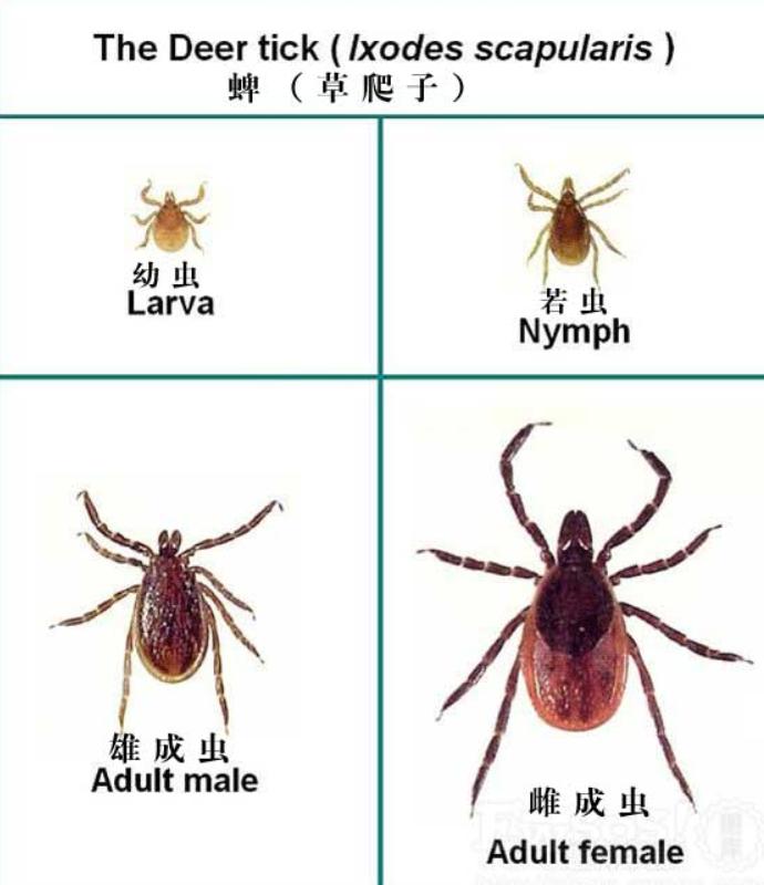 亞?wèn)|緣，探尋緣分背后的故事，亞?wèn)|緣，探尋緣分背后的深情故事