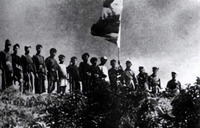 解放海南島戰(zhàn)役的主要內(nèi)容，解放海南島戰(zhàn)役回顧，英勇攻島，歷史銘記的時(shí)刻