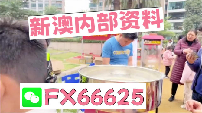 澳門正版資料大全，特色功能深度解析，澳門正版資料大全，特色功能深度解析與詳解