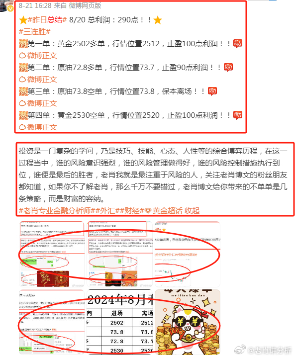 澳門精準王中王一肖，探索命運之輪的奧秘，澳門精準王中王一肖，命運之輪的奧秘探索