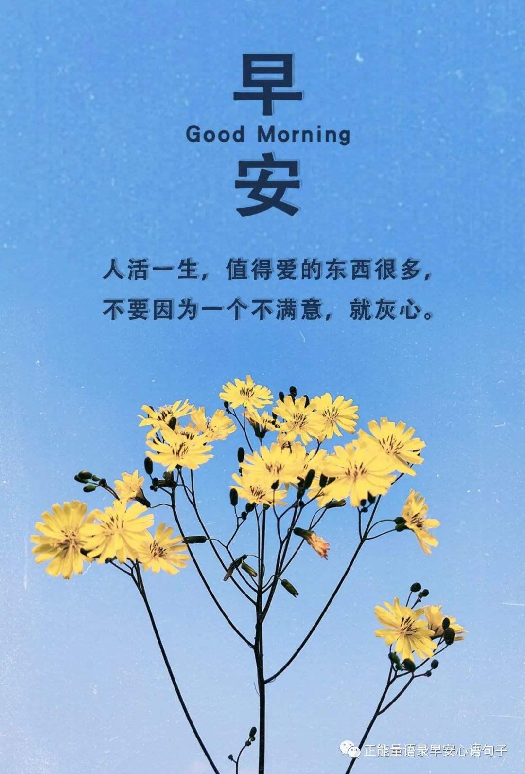 殲-16戰(zhàn)斗機(jī)的服役數(shù)量，見證中國空軍力量的壯大（2022年最新數(shù)據(jù)），殲-16戰(zhàn)斗機(jī)服役數(shù)量揭秘，中國空軍力量持續(xù)壯大（2022年最新數(shù)據(jù)）