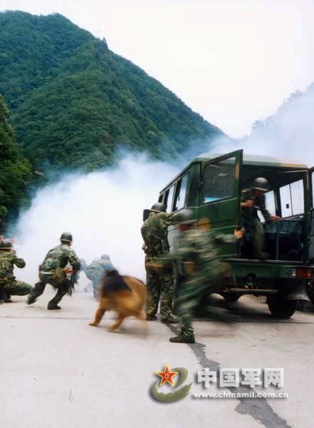 戰(zhàn)略重要性