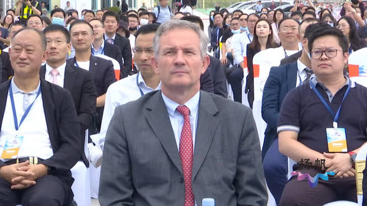 好料盡在王中王——揭秘生肖之王的獨特魅力，揭秘生肖之王王中王的獨特魅力