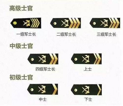 士官與軍官，差異與價(jià)值的探討，士官與軍官，差異分析及其價(jià)值探討