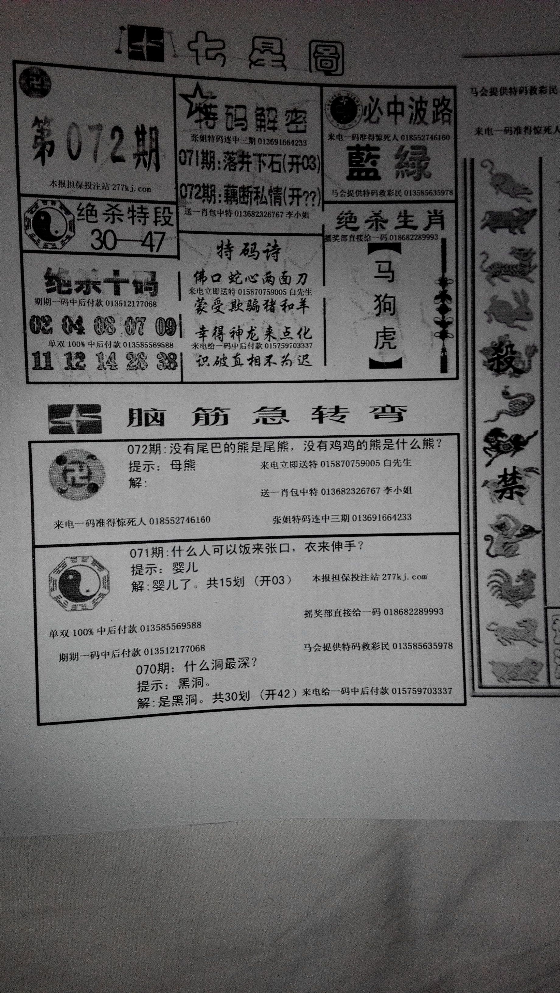 王中王345期指一生肖——探尋生肖文化中的奧秘與魅力，探尋生肖文化中的奧秘與魅力——王中王345期指一生肖