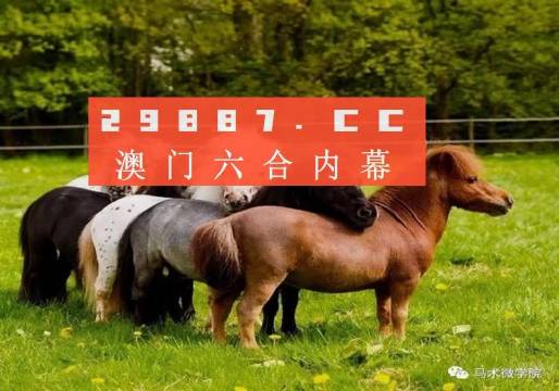 一馬中特免費(fèi)資料公開，助力學(xué)習(xí)，共創(chuàng)未來，一馬中特免費(fèi)資料公開，助力學(xué)習(xí)，共筑未來之夢