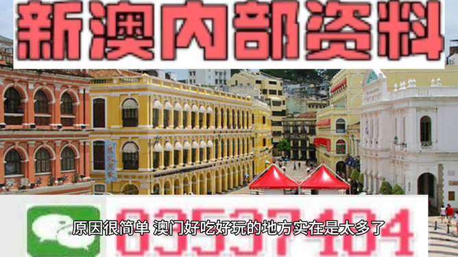 新澳門單雙王